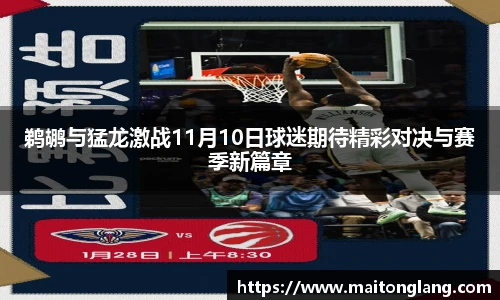 鹈鹕与猛龙激战11月10日球迷期待精彩对决与赛季新篇章