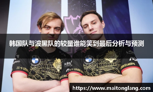韩国队与波黑队的较量谁能笑到最后分析与预测